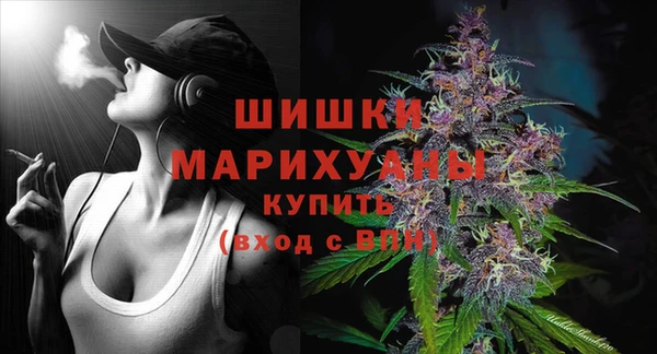 шишки Пролетарск