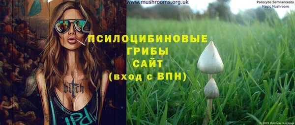 мескалин Арсеньев